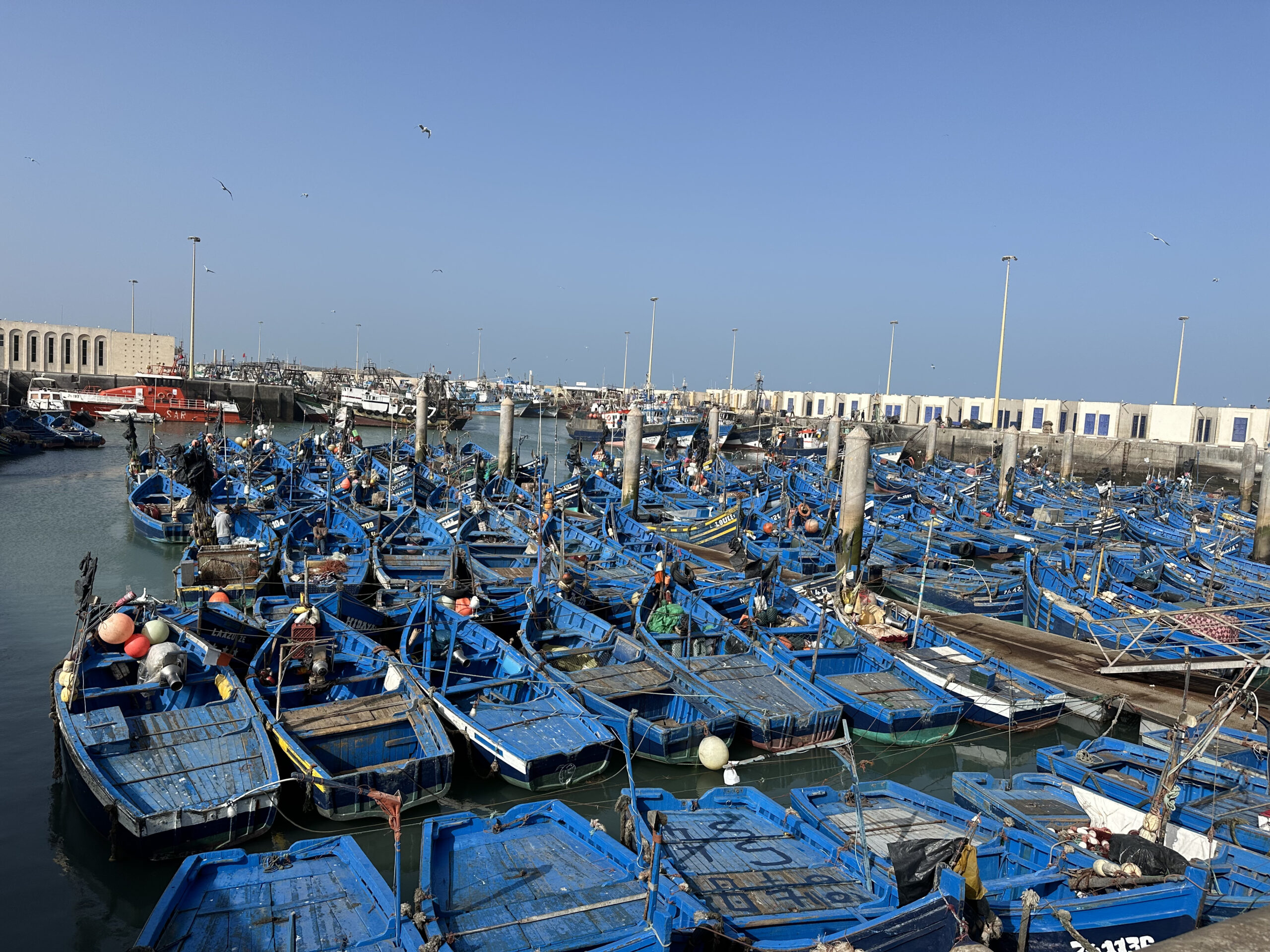 Ausflug nach Essaouira